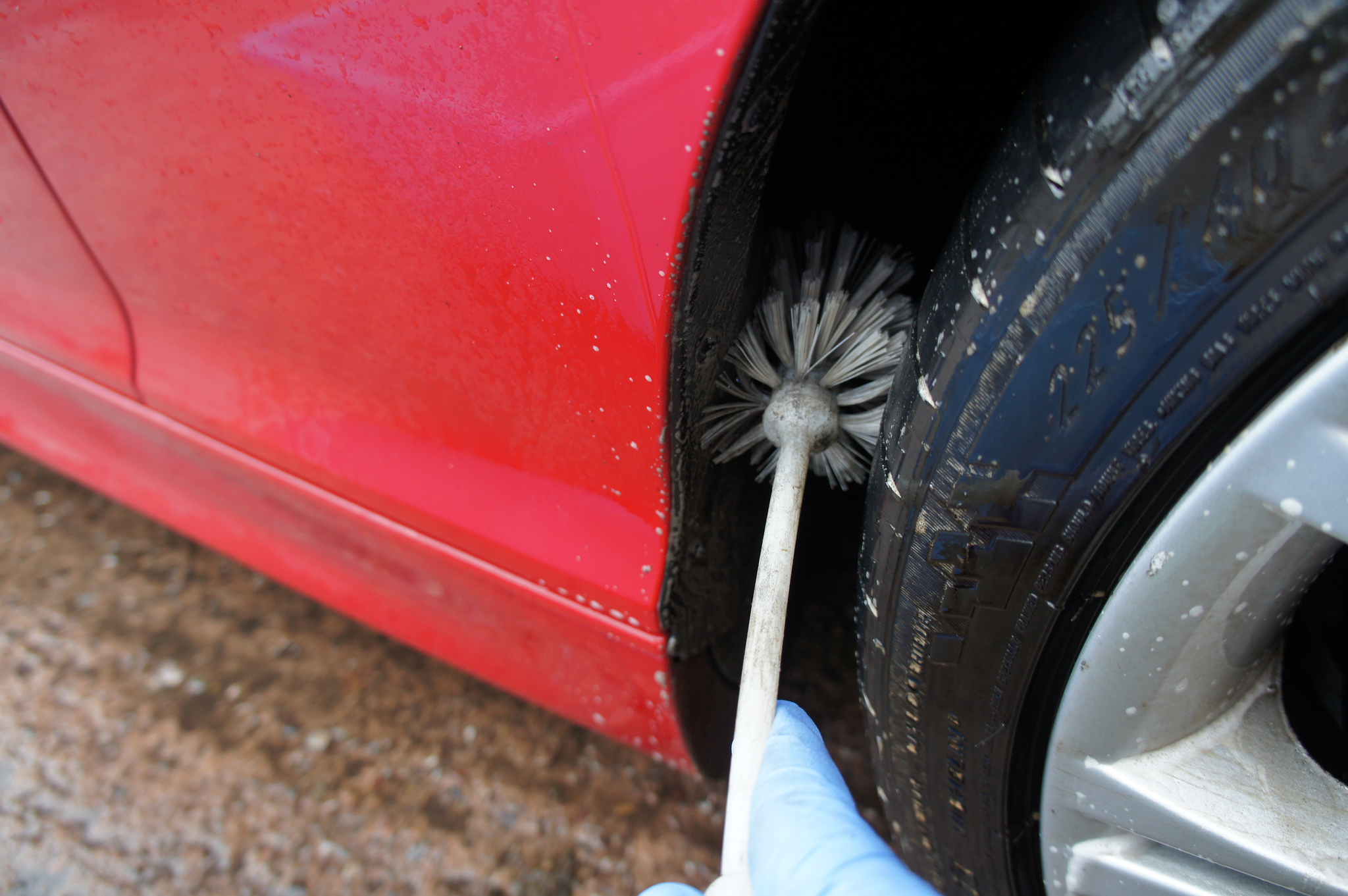 7365744510_8a7f797d3e_z.jpg 7365744510_8a7f797d3e_z.jpg