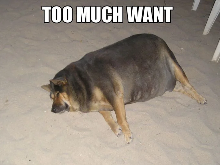 736too-much-want.webp