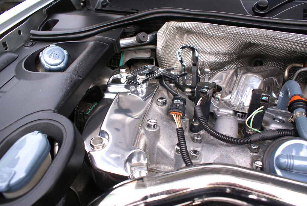 7388585192_8e5265d892_b.jpg 7388585192_8e5265d892_b.jpg