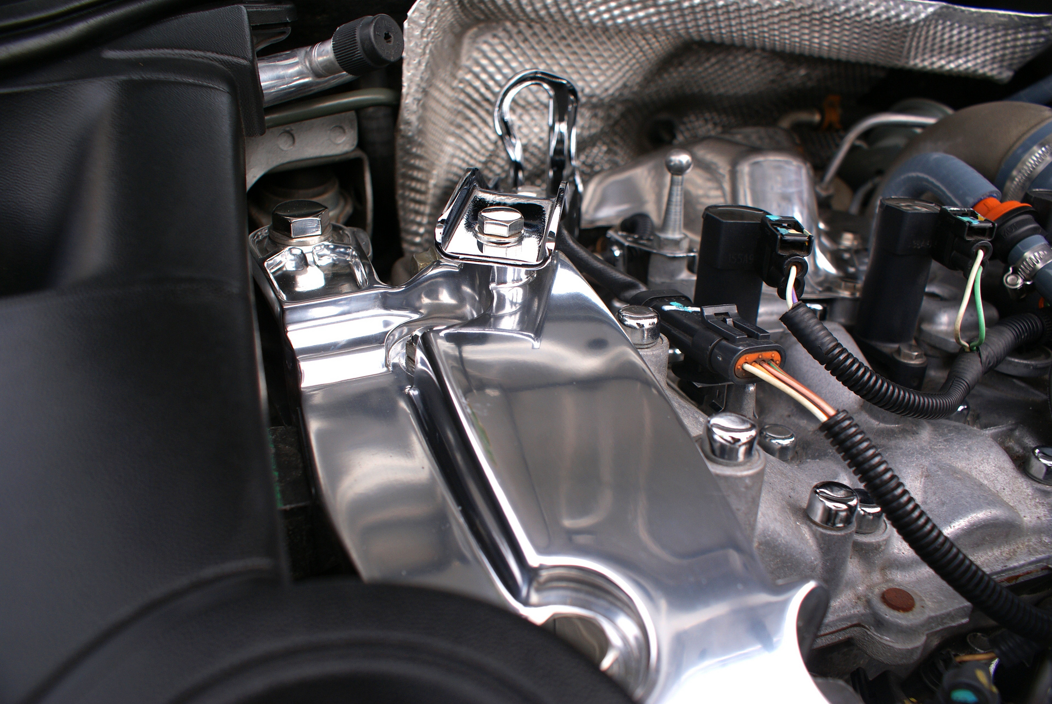 7388598412_3542e8a25d_b.jpg 7388598412_3542e8a25d_b.jpg