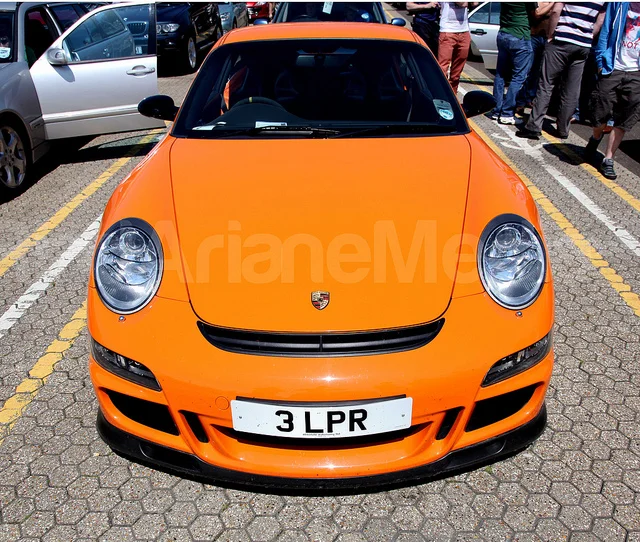 7403646258_943c164440_z.webp