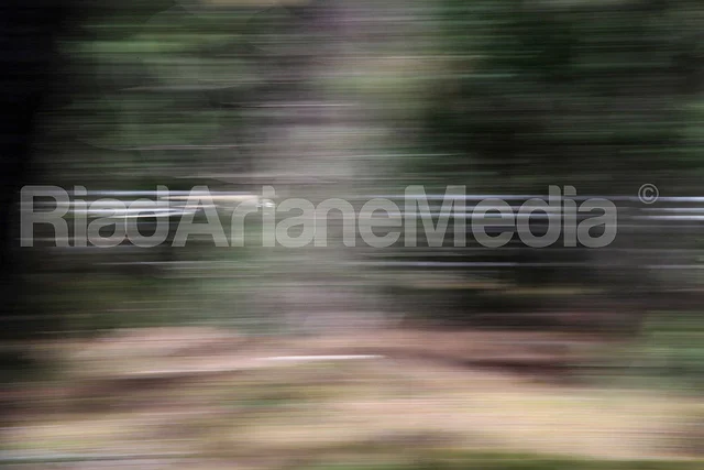 7403763740_060106472d_z.webp