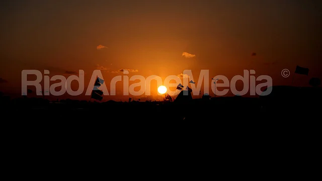 7403815528_4f643b3ea4_z.webp