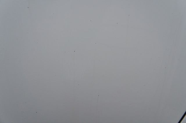 7427436550_5345533a90_z.jpg 7427436550_5345533a90_z.jpg