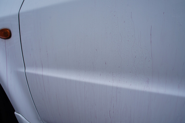 7586238440_877062e086_z.jpg 7586238440_877062e086_z.jpg