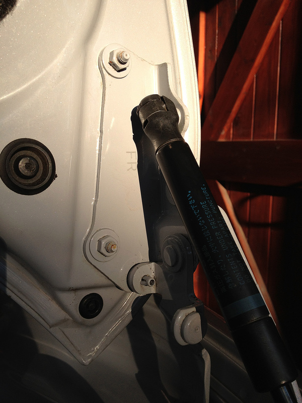 7632471878_0162f4cc11_c.jpg 7632471878_0162f4cc11_c.jpg