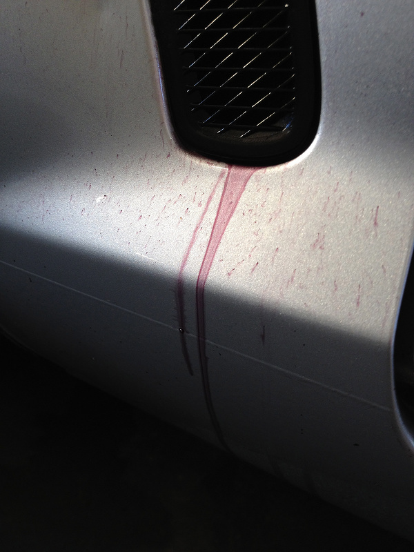 7632736840_4aec41e2e3_c.jpg 7632736840_4aec41e2e3_c.jpg