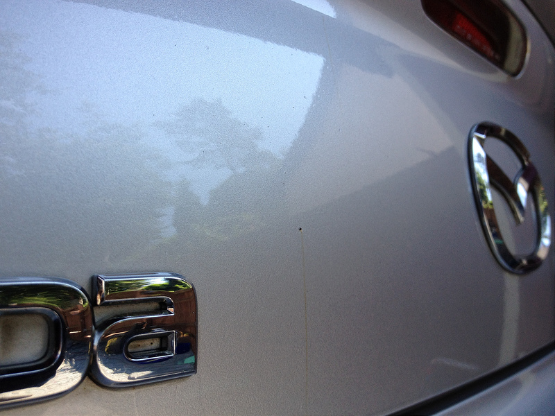 7632835362_2af729425e_c.jpg 7632835362_2af729425e_c.jpg