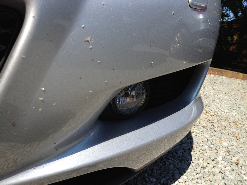 7633050468_67c1945154_c.jpg 7633050468_67c1945154_c.jpg