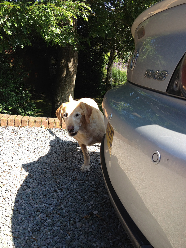 7633087354_233ec9f9a5_c.jpg 7633087354_233ec9f9a5_c.jpg