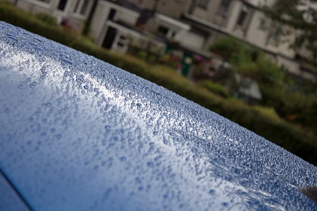 7817223580_914b0f0b7e_z.webp