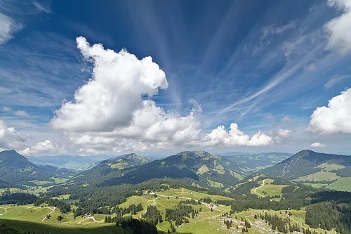 7832072696_1618df752d_z.webp