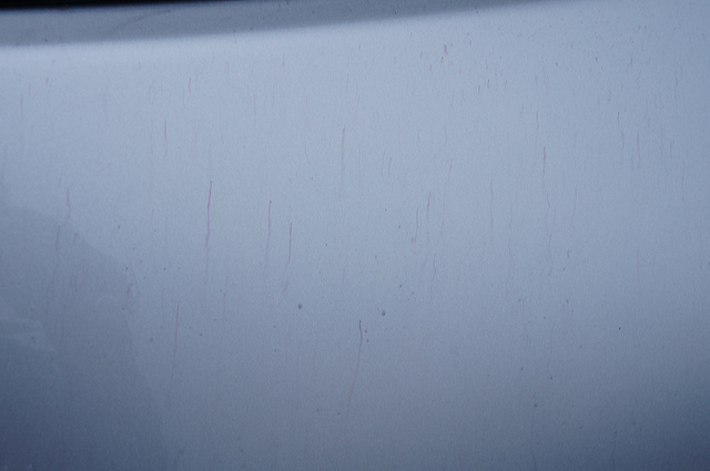 7875059122_efc8809c6a_z.jpg 7875059122_efc8809c6a_z.jpg