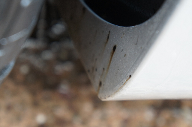 7875065142_b5747d1b42_z.jpg 7875065142_b5747d1b42_z.jpg