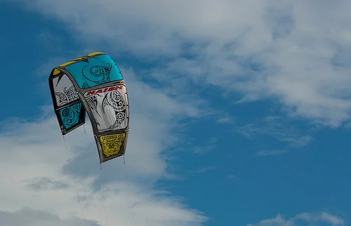 7907073956_ec4e61a8d6.webp