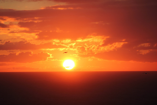 7908894622_7f60543a00_z.jpg 7908894622_7f60543a00_z.jpg