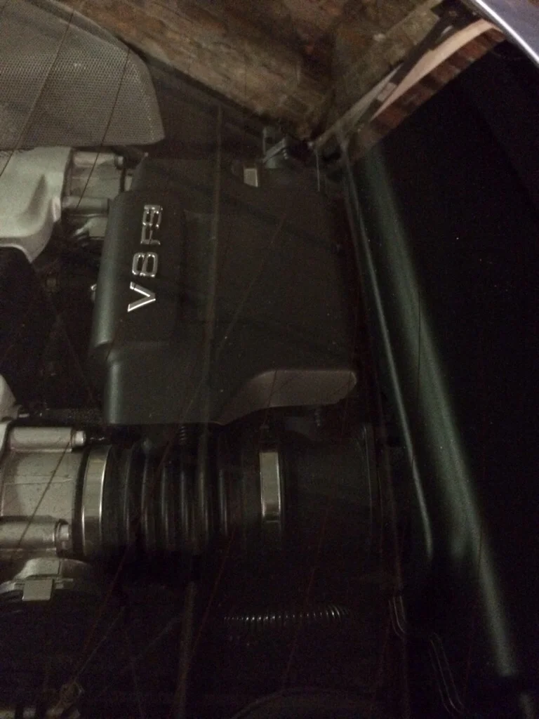 7a8ypytu.webp