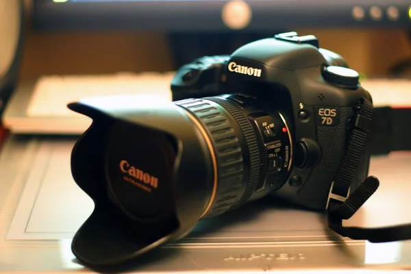 7d1.webp