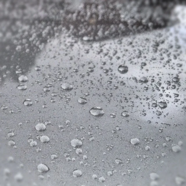 7d365b35.webp