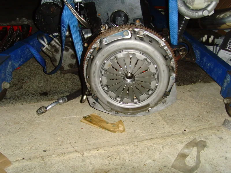 8-8-08104.webp