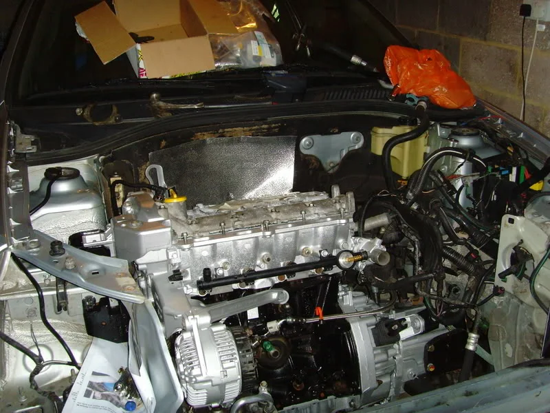 8-8-08113.webp