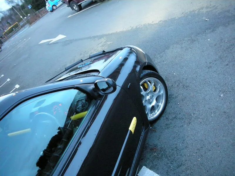 8.webp