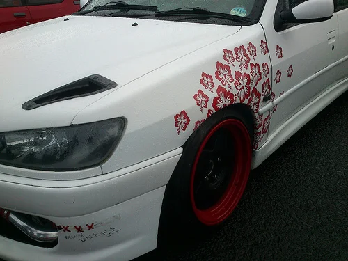 8000335301_4e12c25c47.webp