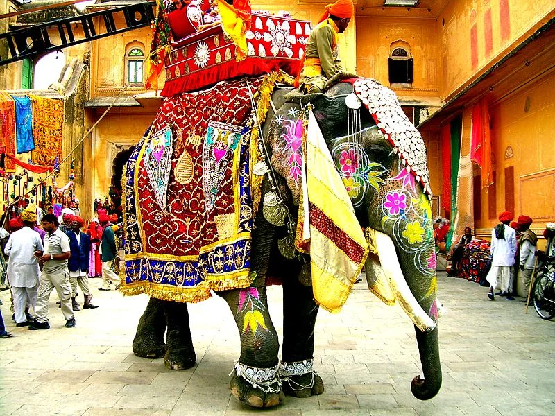 800px-Decorated_Indian_elephant.webp