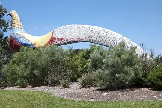 800pxbigpheasant_1.webp