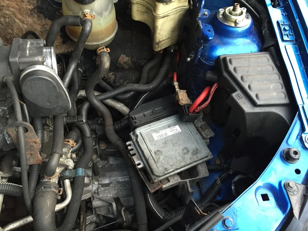 802C3860-87CC-4D67-BC08-FF4A3E1D296F.webp