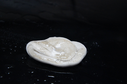 8049850384_e72e6cb126.jpg 8049850384_e72e6cb126.jpg