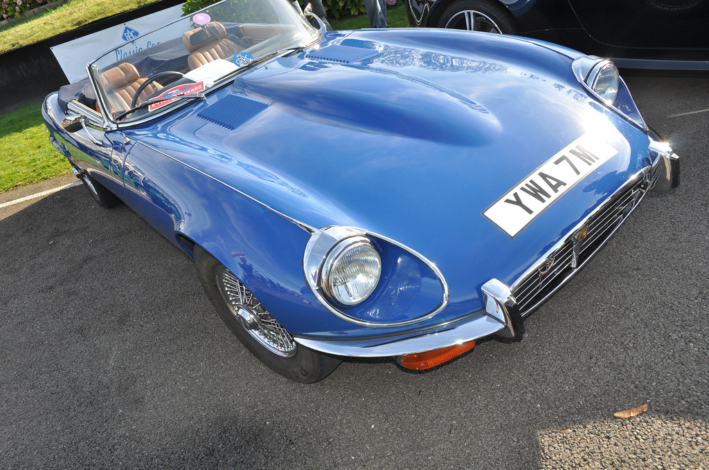 8062953602_5b9dace037_b.jpg 8062953602_5b9dace037_b.jpg