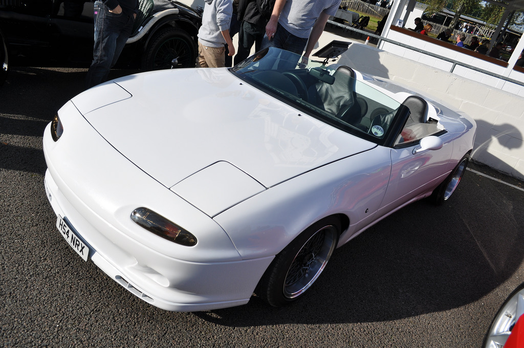 8063020233_7bf05af8b1_b.jpg 8063020233_7bf05af8b1_b.jpg