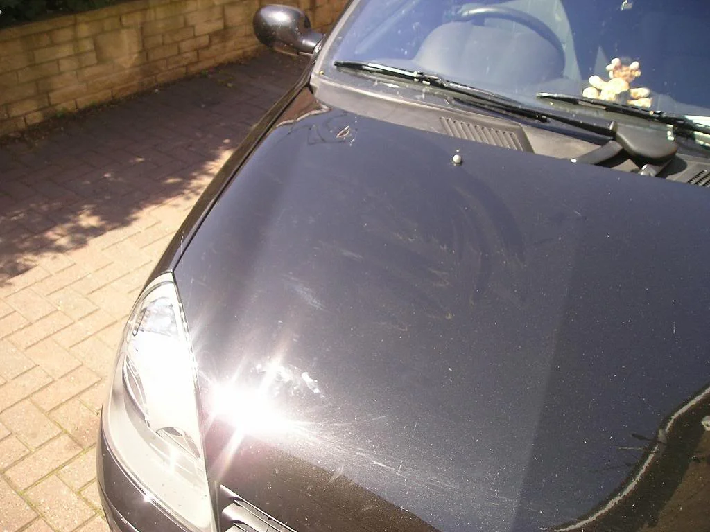 81c993ce.webp