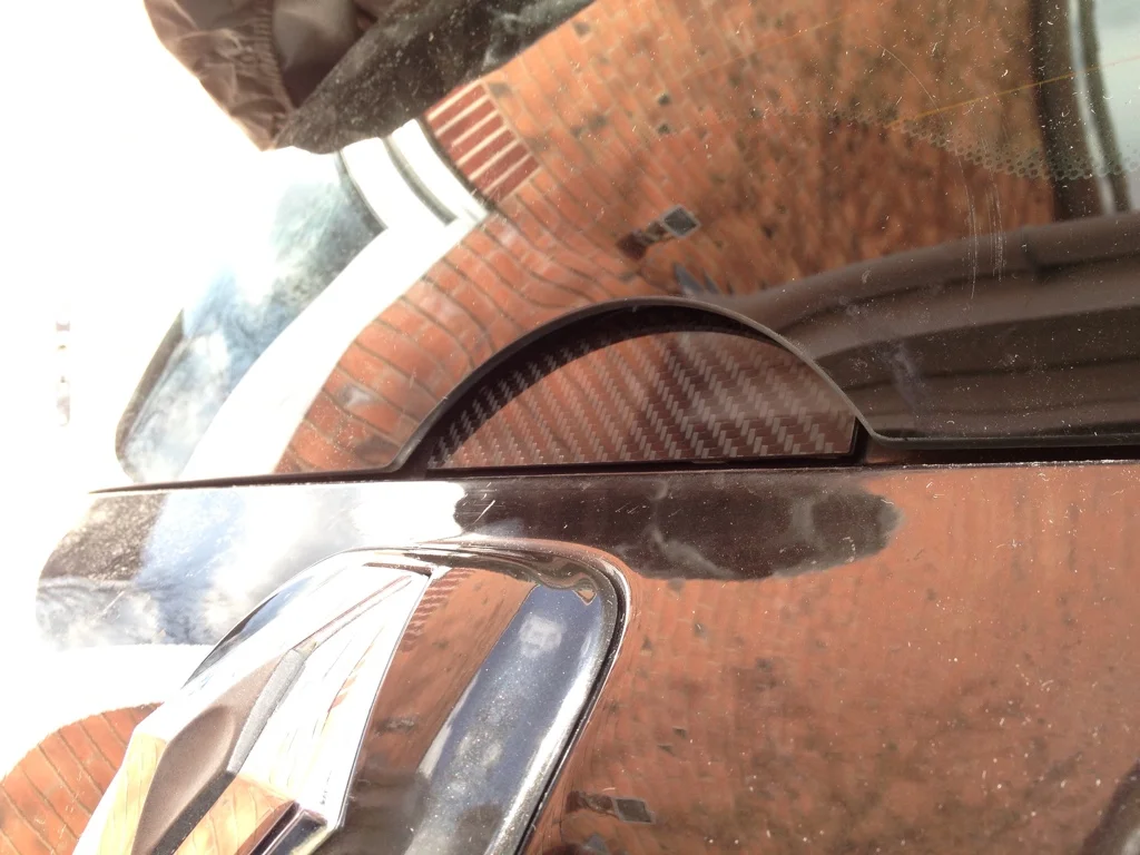 81d9cc7d.webp