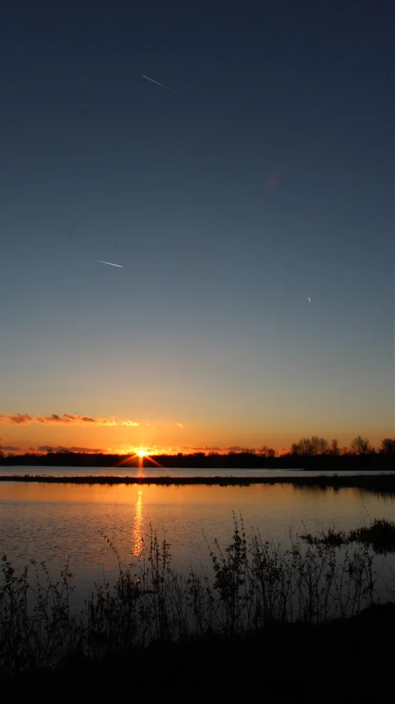 8247285627_ed7bfc33fb_b.webp