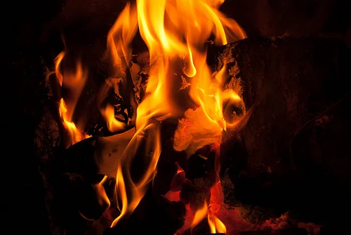 8278274553_2886dca729.webp