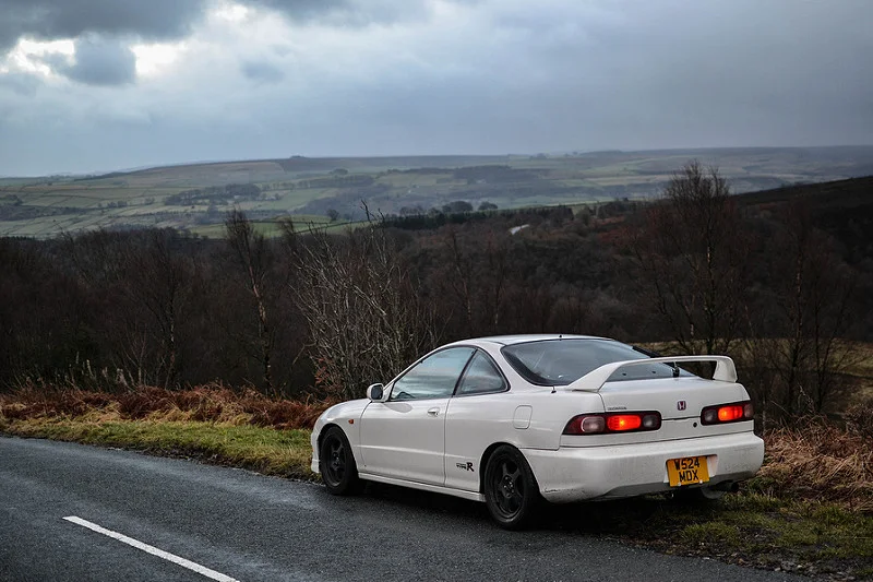 8306954131_1ab3f72593_c.webp