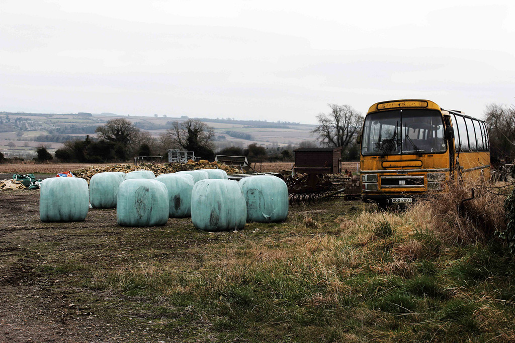 8349415013_80d13fb89c_b.jpg 8349415013_80d13fb89c_b.jpg