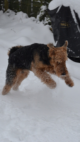 8398716544_fd22f6279b.jpg 8398716544_fd22f6279b.jpg