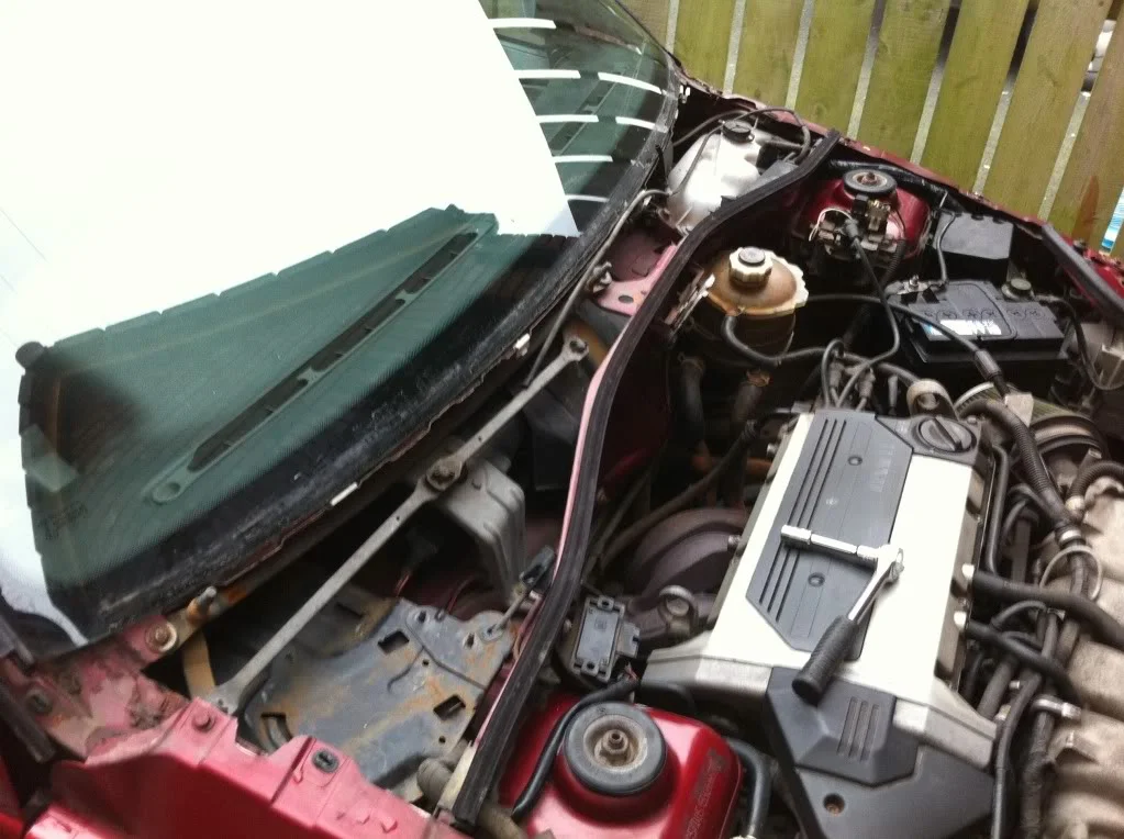 84f596fe.webp