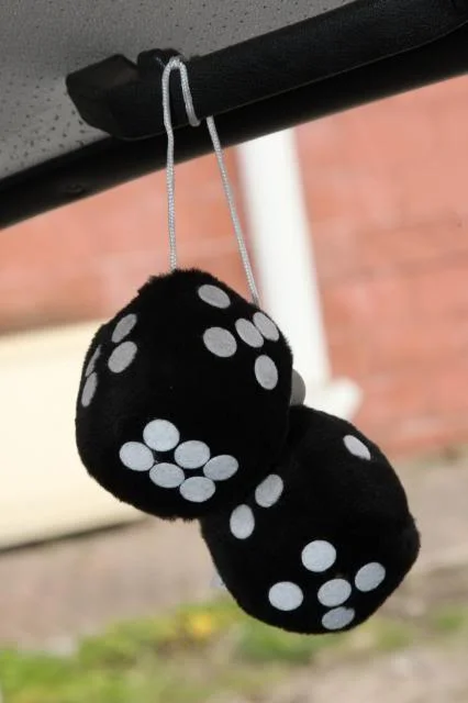 859O8956.webp