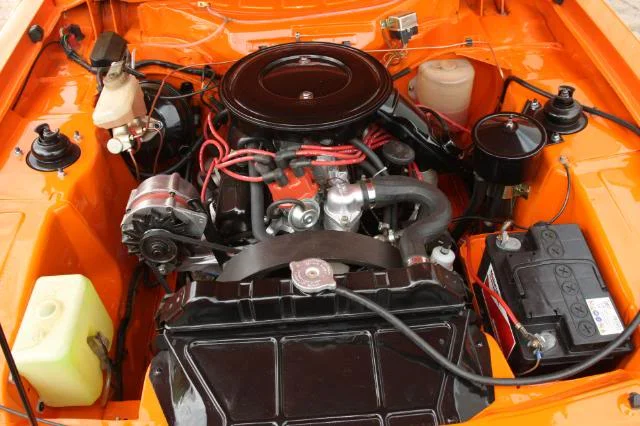859O8983.webp