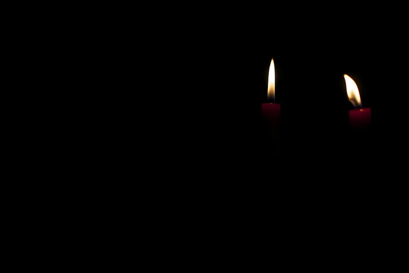 8614860022_93e9408d55_c.webp