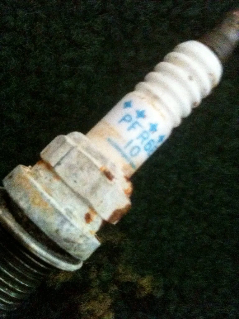 8663888204_bf396c44f7_b.webp