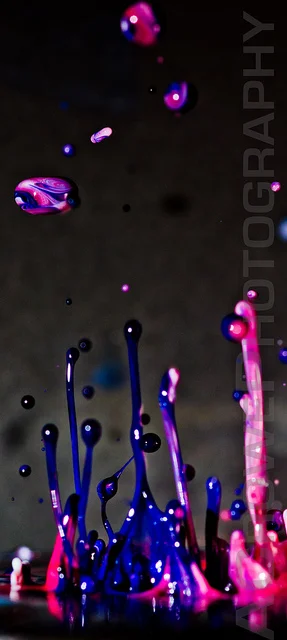 8697886725_65936c2d8e_z.webp
