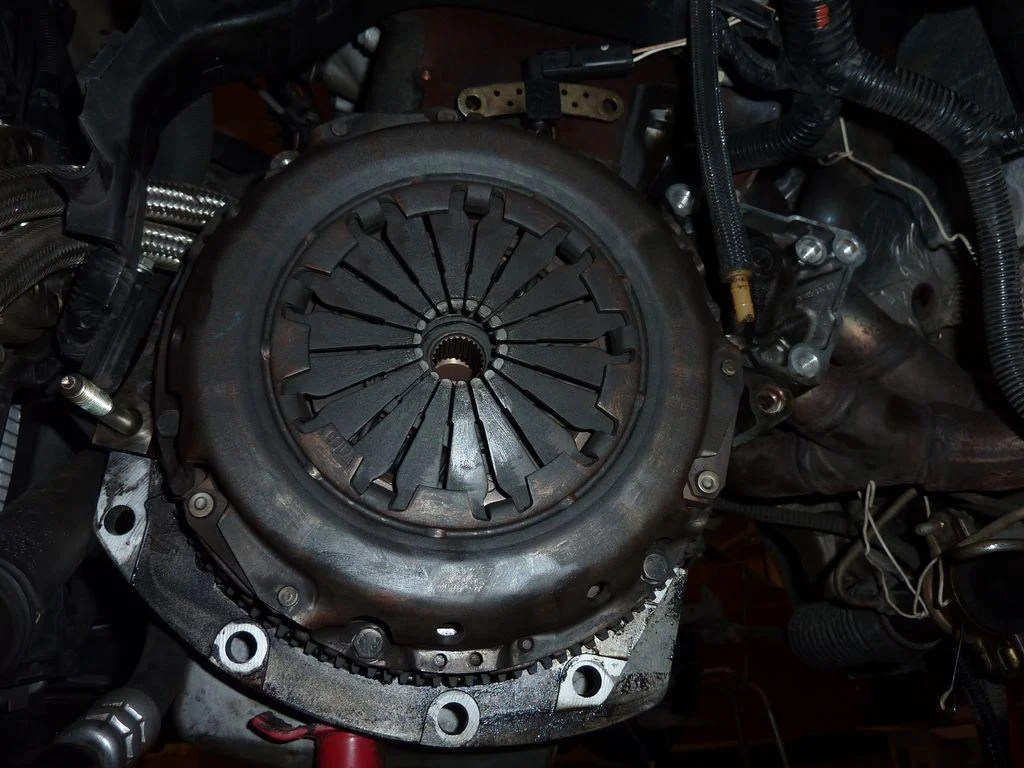 8783-new_2009-06-29-3.webp