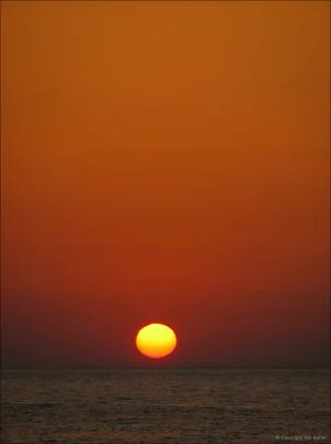 8868c7971df64443ae43b7ef959f5414.webp