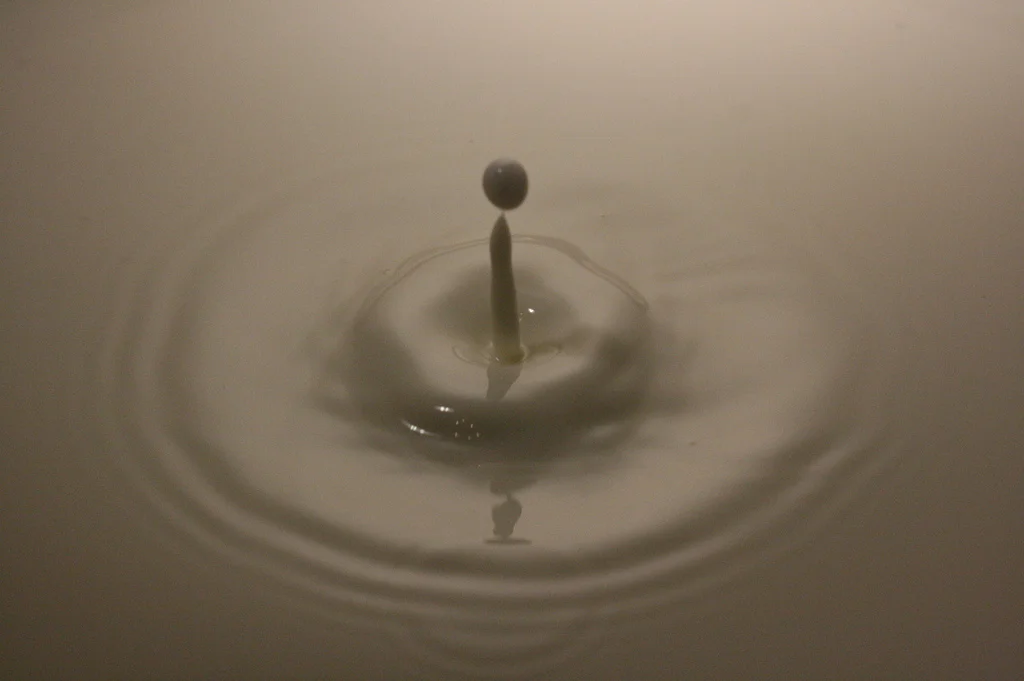 8948232473_d3e2e1366f_b.webp