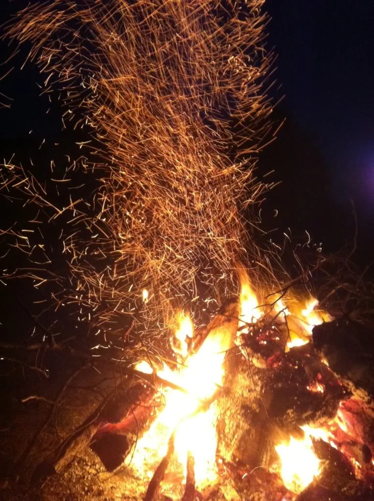 8f115883.webp